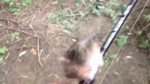 Приземлился