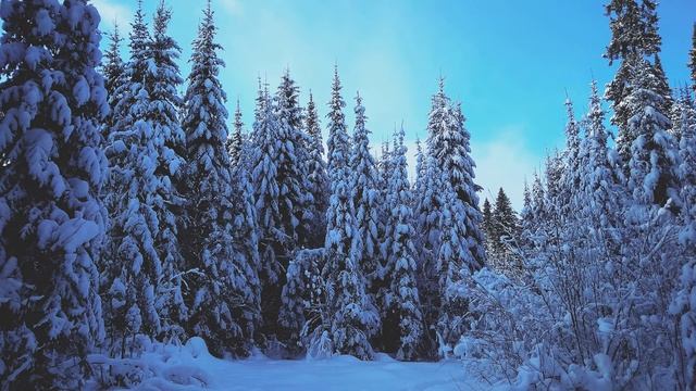 И Гёте  Помню, как она глядела #стихиолюбви#зарубежнаялитература