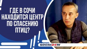 ЧТО ДЕЛАЕТСЯ ДЛЯ ПОМОЩИ ПРЕДСТАВИТЕЛЯМ ЧЕРНОМОРСКОЙ ФАУНЫ?