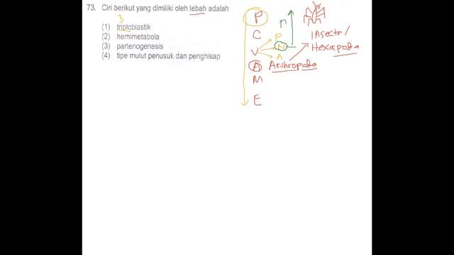Soal UTUL UGM 2014 No 73 tentang Insekta смотреть онлайн