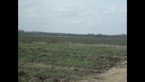 Полунино. Высота 200