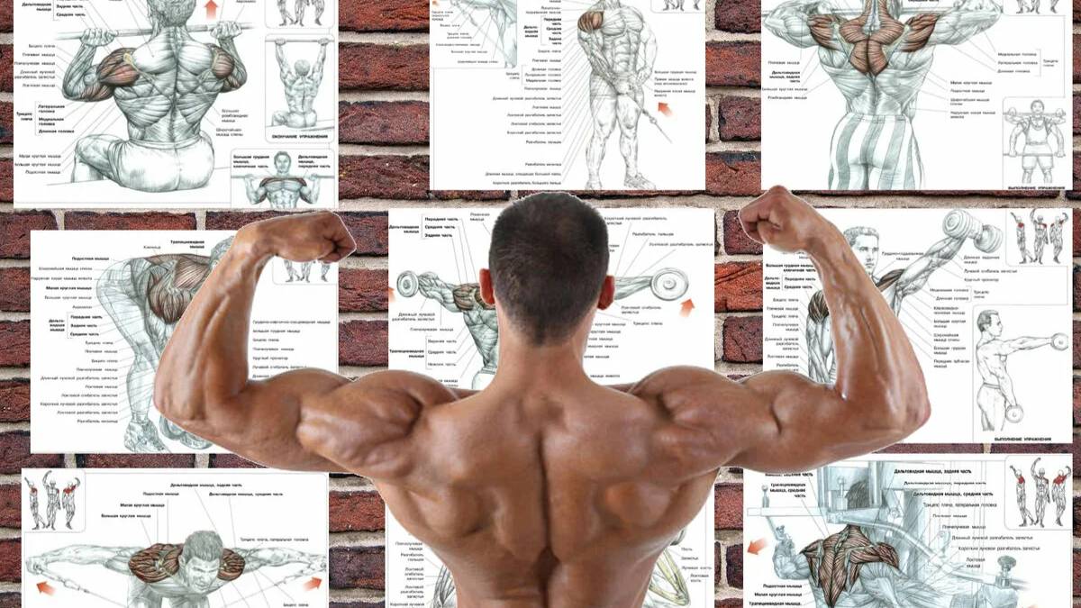 ❤️ПЛЕЧИ ❤️ #Башня #Федерация  #СОКОЛ #АЭРОПОРТ #ЦСКА #КОПТЕВО #ТУШИНСКАЯ #ДЕЛОВОЙЦЕНТР #МИНСКАЯ #СУ