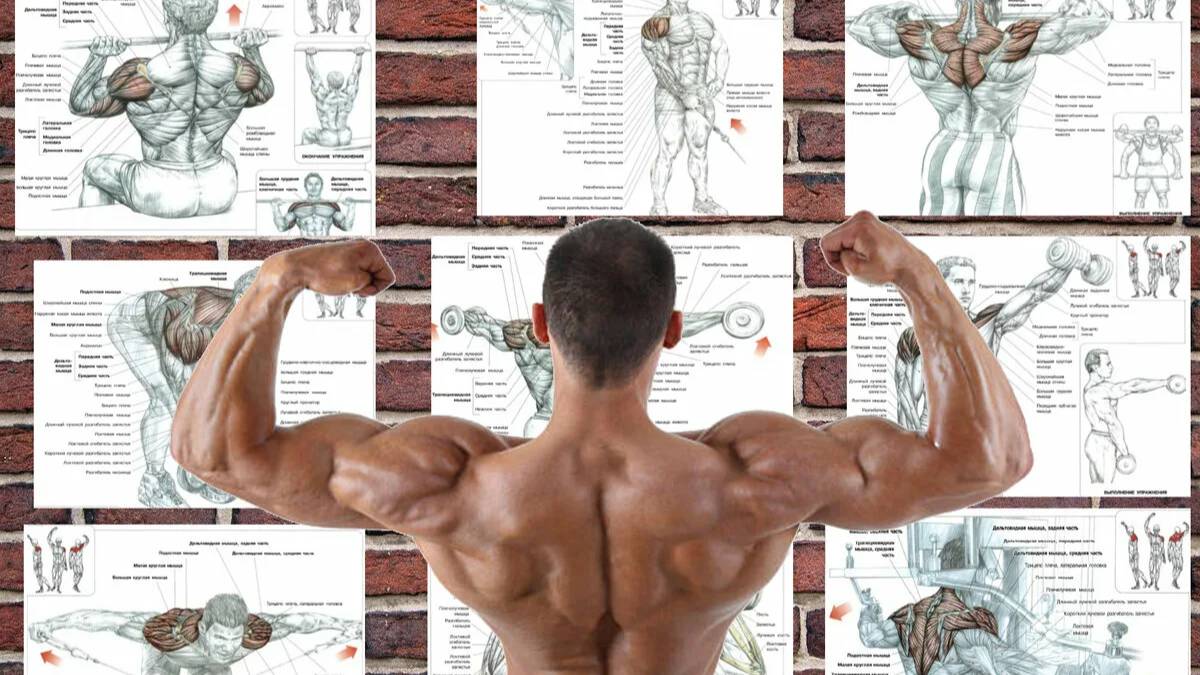 ❤️ПЛЕЧИ ❤️ #Башня #Федерация  #СОКОЛ #АЭРОПОРТ #ЦСКА #КОПТЕВО #ТУШИНСКАЯ #ДЕЛОВОЙЦЕНТР #МИНСКАЯ #СУ