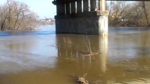 Река Пахра 19.04.2013