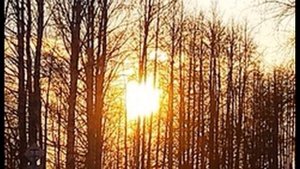 В Жуковский  Жаворонок #стихиовесне #поэты19века