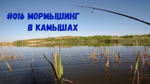 #016 Мормышинг в камышах