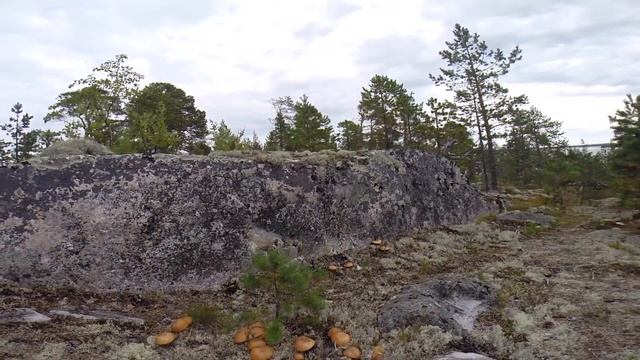 Карелия 2014 смотреть онлайн