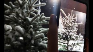 Черубина де Габриак  Ты в зеркало смотри #философскаялирика #поэтыСеребряноговека