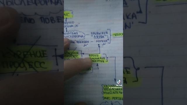 ЗАРОК, ОБЕТ. ОСОЗНАННО РАСПРЕДЕЛЯЙ ВЫСВОБОЖДАЮЩУЮСЯ ЭНЕРГИЮ ВНИМАНИЯ.