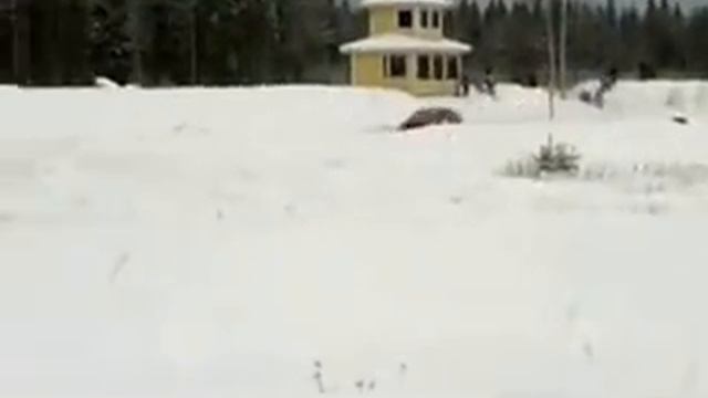 Audi Quattro rally car fantastic voice !!!! смотреть онлайн