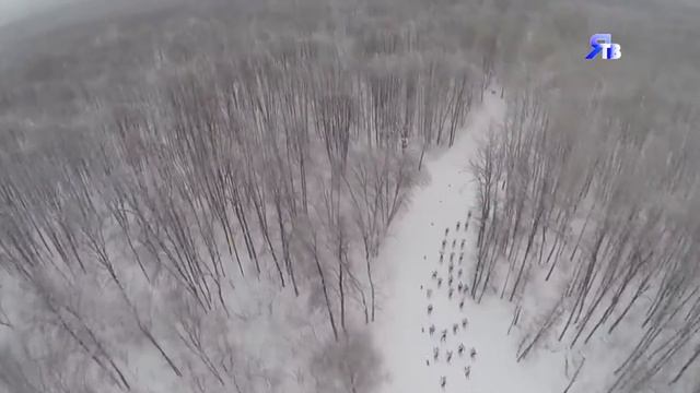 Призы на лыжах смотреть онлайн