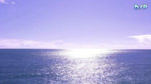 Listen for 5 minutes and fall asleep soundly  Music to help you sleep  Music for sleep