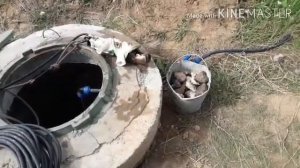 Вытащил камни из скважины  #Мастерская21rus #мастернастодел