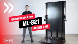 BRONZE GYM PARTNER ML-821 Пристенный параллельный блок