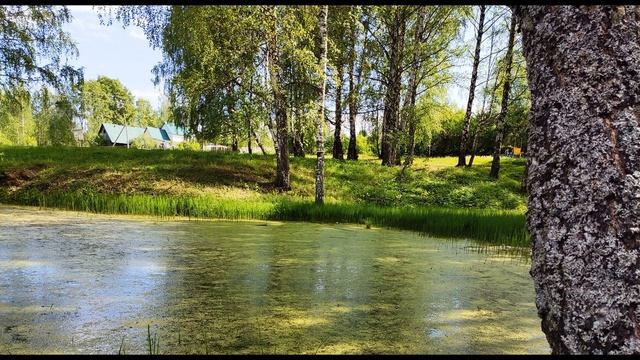 К  Симонов  Родина #стихиородине #поэты20века