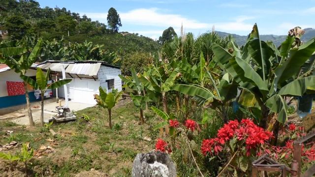 The beautiful Jardin, Colombia смотреть онлайн