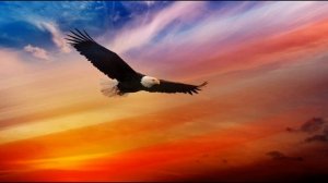 Н  Клюев  Из подвалов, из темных углов… #стихиореволюции #стихиородине #поэтысеребряноговека