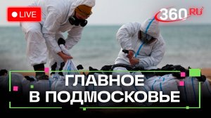 Волонтёры против мазута и новые законы для многодетных: Главное в Подмосковье