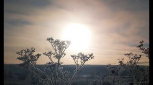 Ю Друнина  Не встречайтесь с первою любовью #стихиолюбви #поэты20века