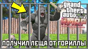 ПОЛУЧИЛ ЛЕЩА ОТ ГОРИЛЛЫ - GTA 5 RP Onlime (RMRP Патрики)