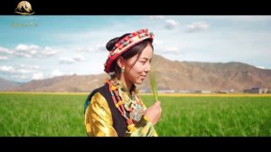 New Tibetan song 2022 ࿉ བོད་གཞས་གསར་པ་༢༠༢༢༼གཙང་གི་བུ་མོ།༽གཞས་མ། གཙང་གི་བུ་ཁྲིད། ࿉ Bhutri 2022