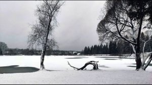 В  Лунин  Я и Вовка #стихидлядетей #современныепоэты