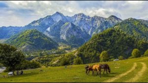 Самед Вургун  Я не спешу #азербайджанскаялирика #философскаялирика