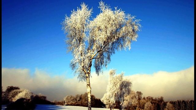 Н  Заболоцкий  Признание #стихиолюбви #стихиоженщине #поэты20века