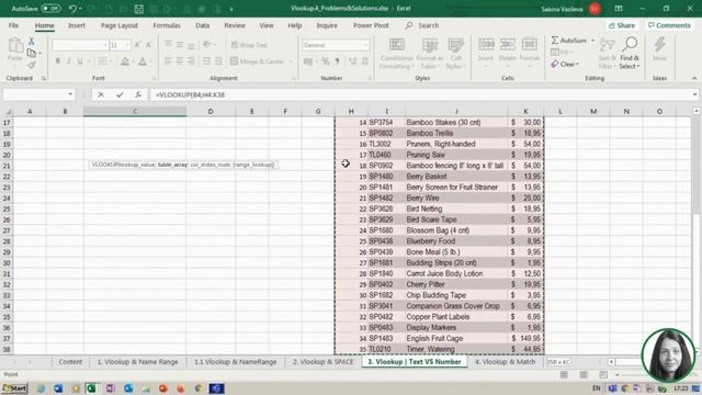 MS Excel : Vlookup Function 4 Problems and Solutions