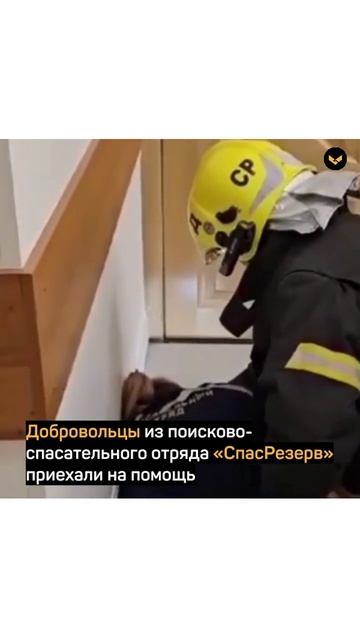 Добровольцы поисково-спасательного отряда «Спасрезерв» достали котёнка из-под плит больницы