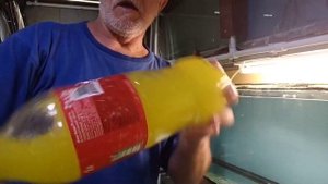 Один день из жизни старого аквариумиста