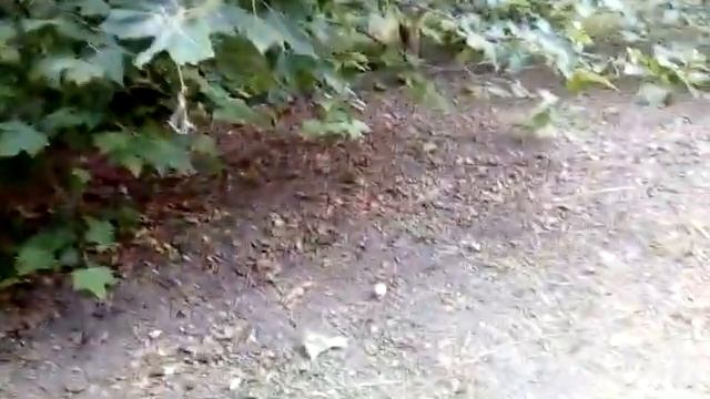 Железноводск. Июль 2020