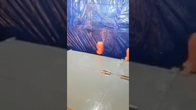 Ингуши
