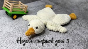 «Амигурушная» НЕДЕЛЯ СТАРТОВ ДЕНЬ 3