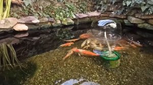 К зимовке готовы