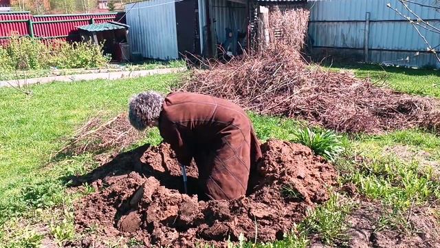 Картина Гитарист-бобыль