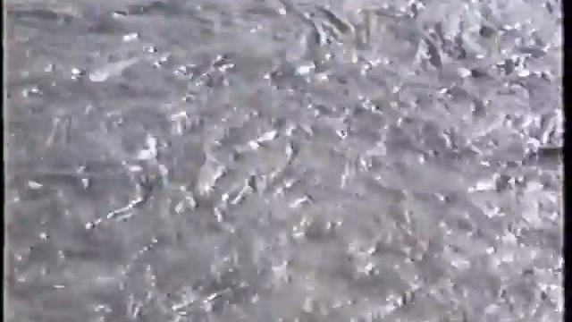 Recorrido por el Jardín Americano durante la Expo 92. смотреть онлайн