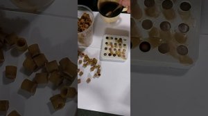 НЮАНСЫ СИЛИКОНОВОГО ШАБЛОНА ДЛЯ ПРИВИВКИ ЛИЧИНОК ПЧЁЛ.