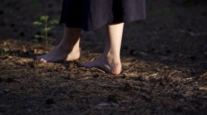 «Мирамирам» эко-отель (Россия, Республика Алтай)