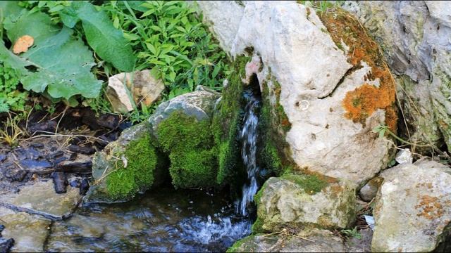 Т  Шорохова  Родник #стихидетям #стихиоприроде #современнаяпоэзия