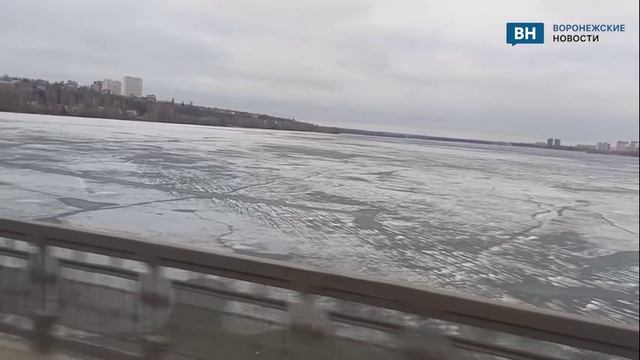 Лед на Воронежском водохранилище созывает рыбаков