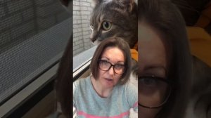 Брошенные животные. Съемное жилье