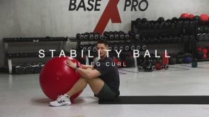 STABILITY BALL 1 LEG CURL/ Сгибание ног на фитболе на 1 ноге