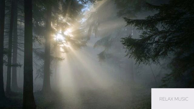 Солнечные лучи