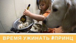 Марта кормит Принца| Время ужинать | #ПРИНЦ