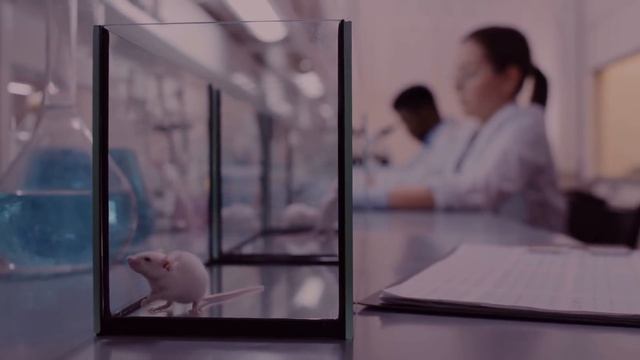 Исчезновение в стенах Йеля смотреть онлайн