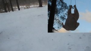 МР 515С 5.5. "Охота на дичь" пулями Квинтор Flash.