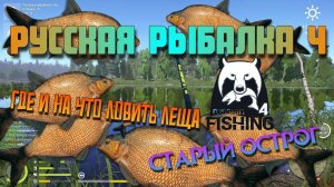 🎣РУССКАЯ РЫБАЛКА 4🔥 ГДЕ И НА ЧТО ЛОВИТЬ ЛЕЩА🐟