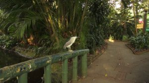 12224000_1920_1080_60fps