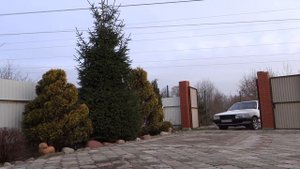 Audi 100 2.2 turbo quattro До и после